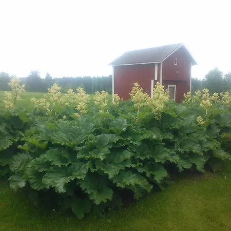 Bed & Breakfast Hyvoelaen Talo 3*