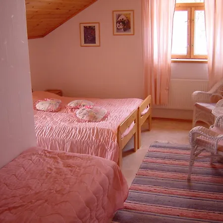 Hyvoelaen Talo Bed & Breakfast Ahtari