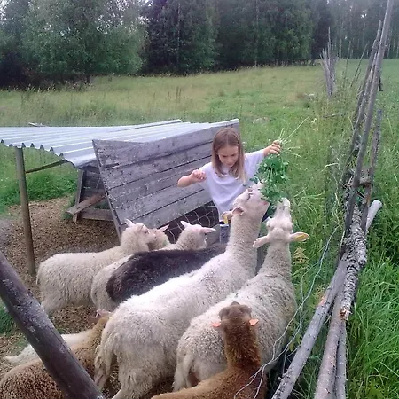 Hyvoelaen Talo Bed & Breakfast Ähtäri